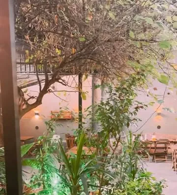 Quintal do HB com árvore grande, plantas e mesas